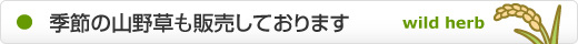 季節の山野草も販売しております